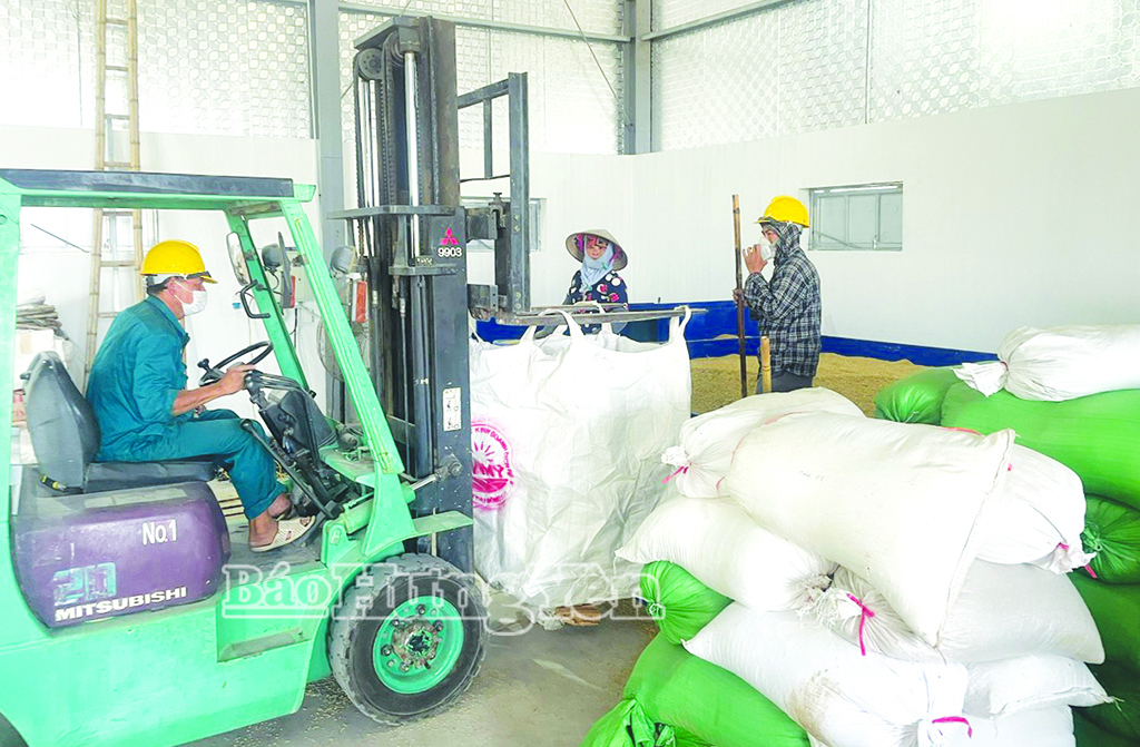Gắn sản xuất với chế biến, bảo quản nông sản sau thu hoạch