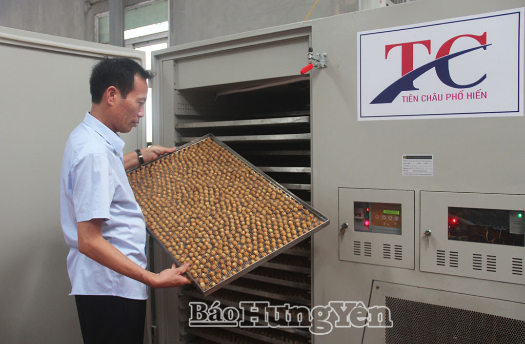 Chương trình OCOP thúc đẩy phát triển kinh tế nông thôn