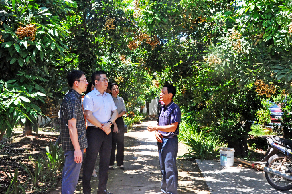 Thứ trưởng Bộ Khoa học và Công nghệ Nguyễn Hoàng Giang làm việc với Sở Khoa học và Công nghệ