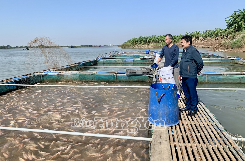 Hưng Yên chủ động nguồn thủy sản phục vụ thị trường Tết
