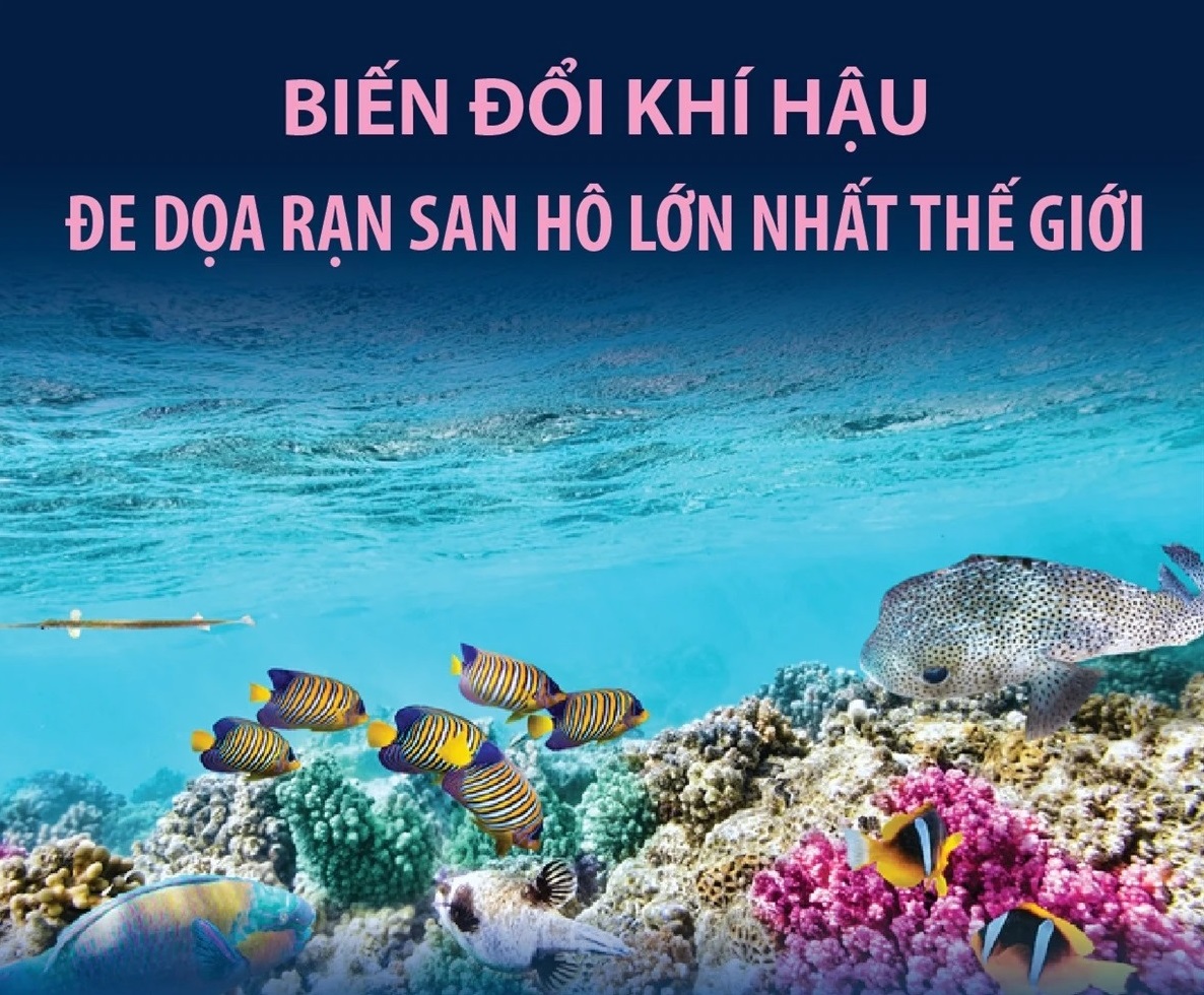 Biến đổi khí hậu đe dọa rạn san hô lớn nhất thế giới