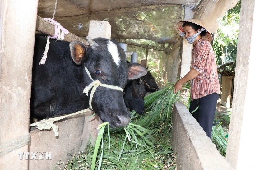 Cuộc cách mạng của Việt Nam trong xóa đói giảm nghèo bền vững