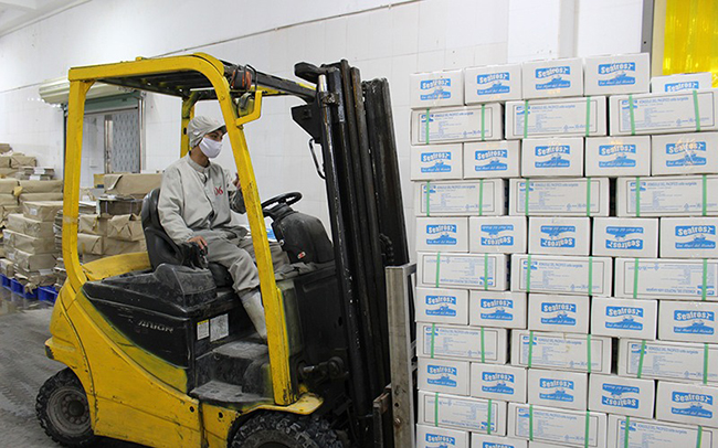 Nâng cao hiệu quả khai thác, chế biến, tiêu thụ thủy sản -0
